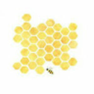 Meet your Posher, Rayonna